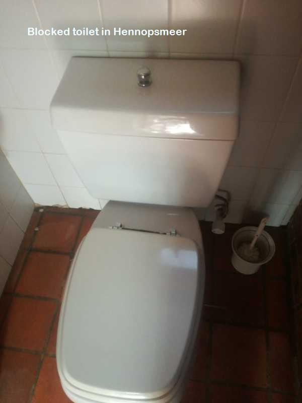 Hennopsmeer blocked toilet cleaners