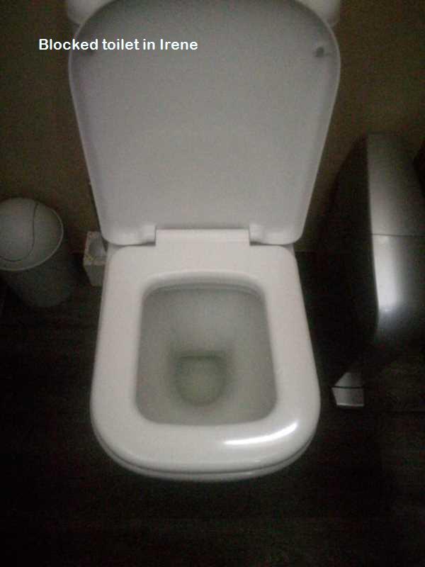 Blocked toilet in Irene
