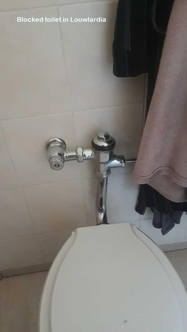 Louwlardia blocked toilet cleaners