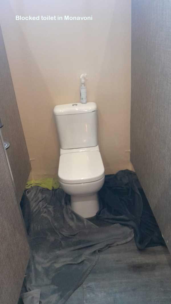 Monavoni blocked toilet cleaners