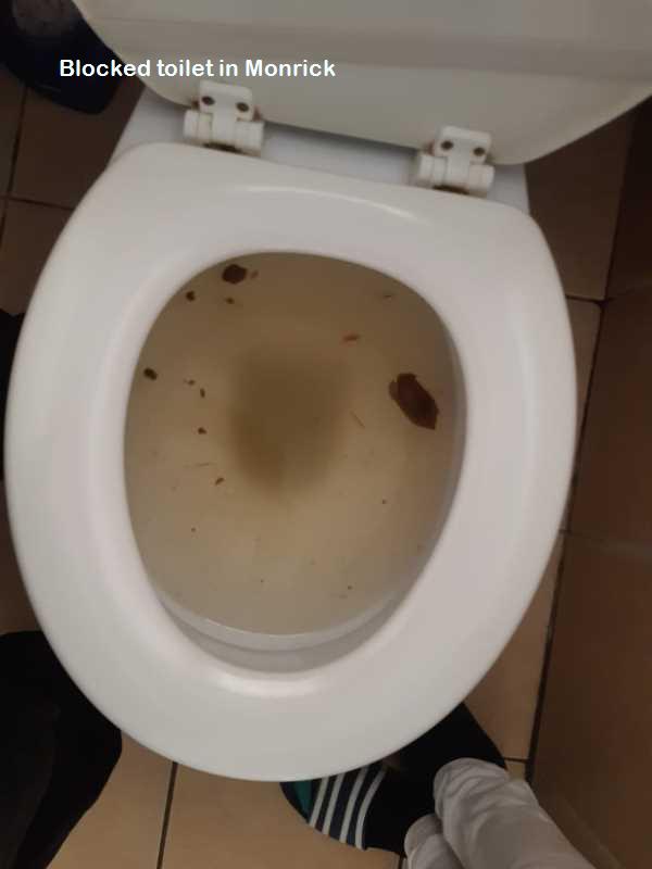 Monrick blocked toilet cleaners