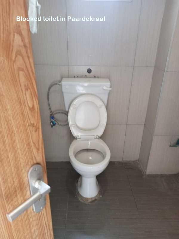 Blocked toilet in Paardekraal