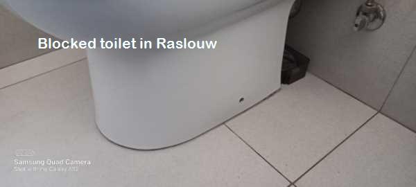 Raslouw blocked toilet cleaners