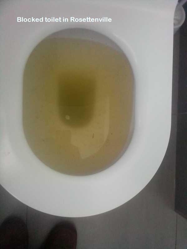 Blocked toilet in Rosettenville