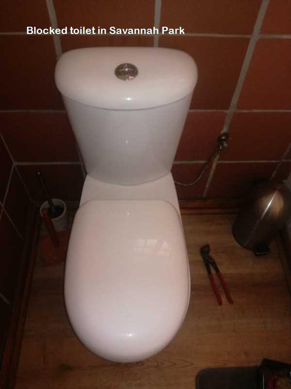 Savannah Park blocked toilet cleaners