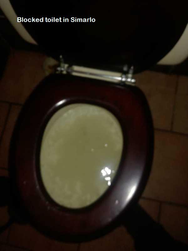 Simarlo blocked toilet cleaners