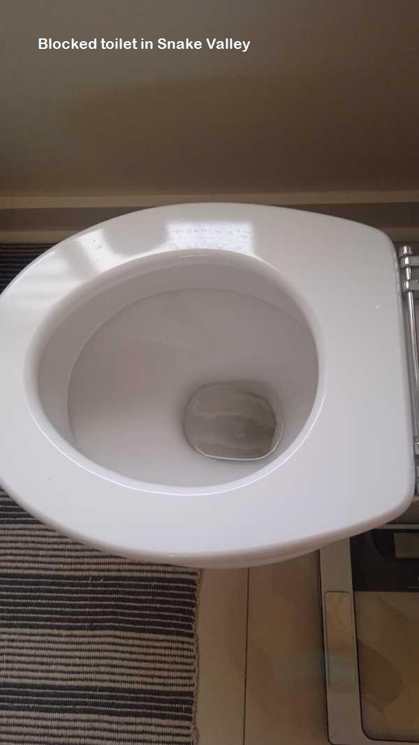 Snake Valley blocked toilet cleaners