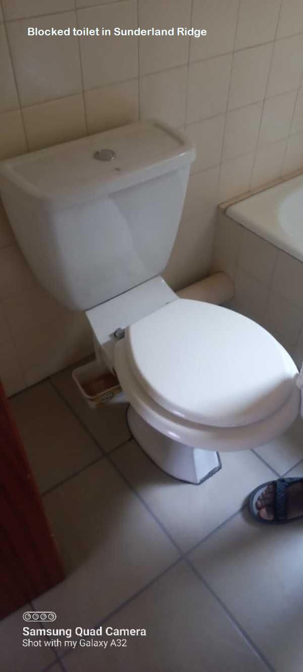 Sunderland Ridge blocked toilet cleaners