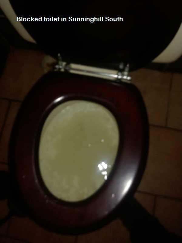 Sunninghill South blocked toilet cleaners