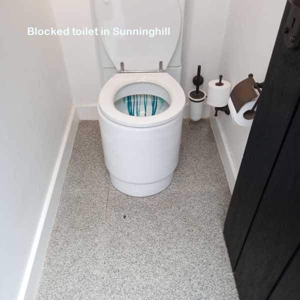 Blocked toilet in Sunninghill
