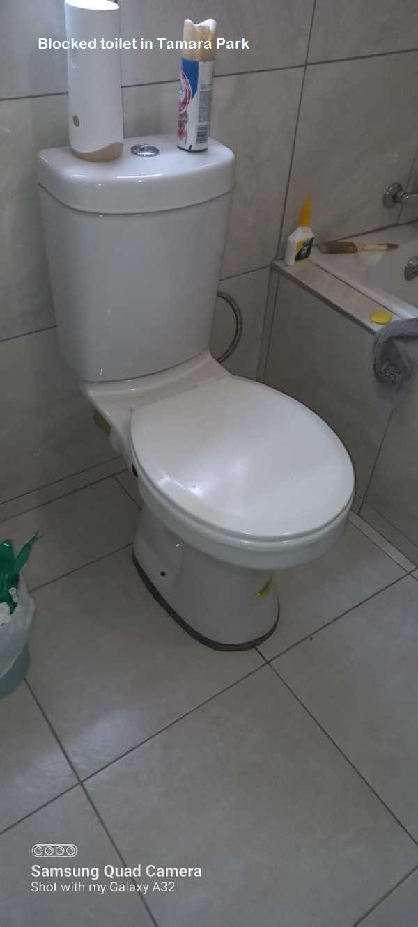 Tamara Park blocked toilet cleaners