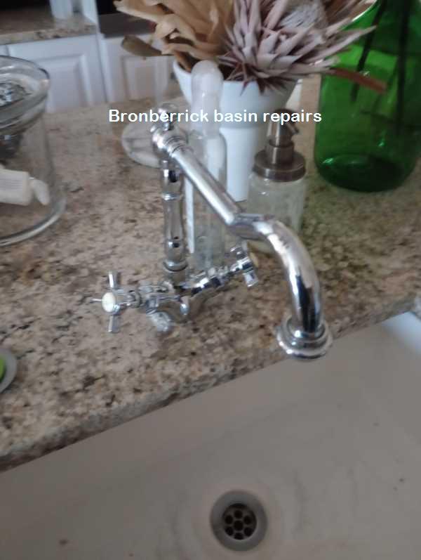 Bronberrick basin repairs