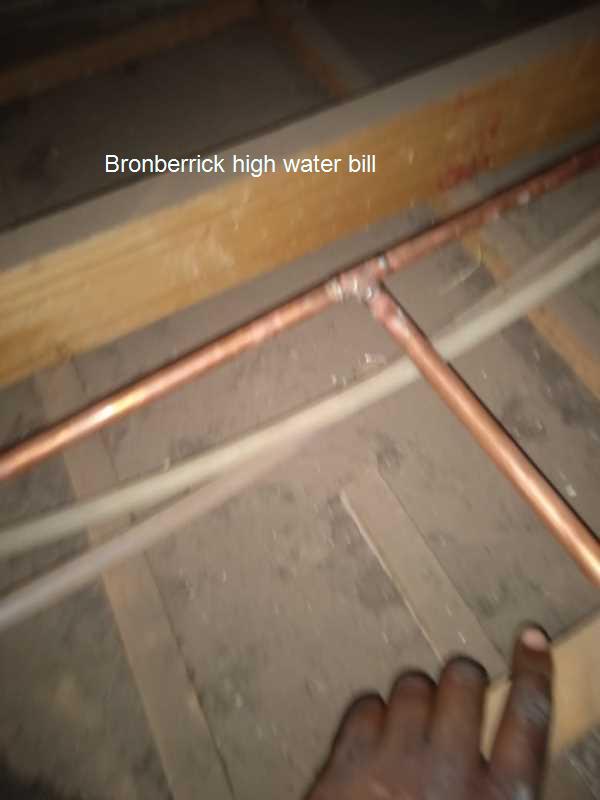 Slash your high water bill in Bronberrick