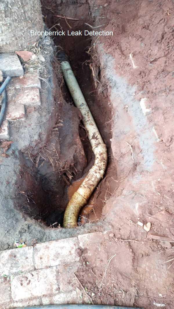 Bronberrick Leak detection