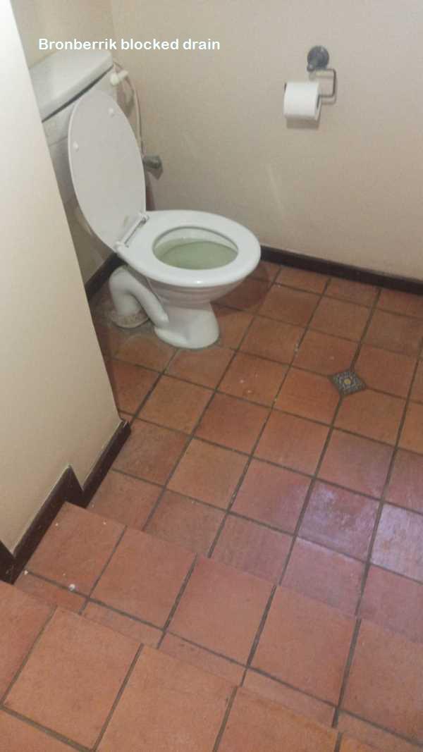 Bronberrik blocked drain cleaners