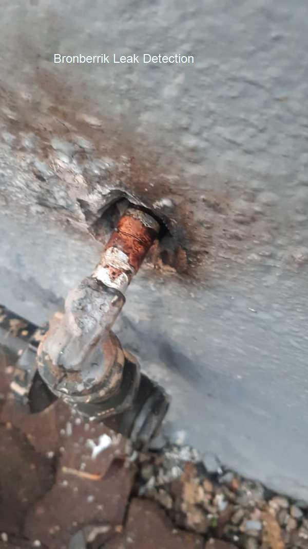 Bronberrik Leak detection