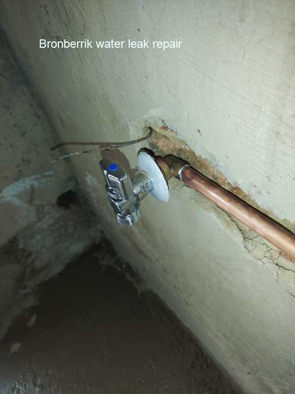 Bronberrik water leak repair at all hours including public holidays by qualified plumbers.