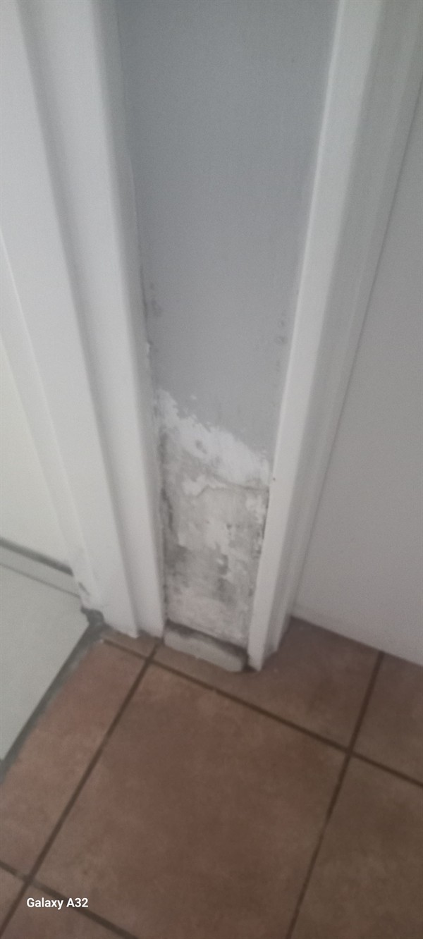 Darker staining from damp wall in Brummeria