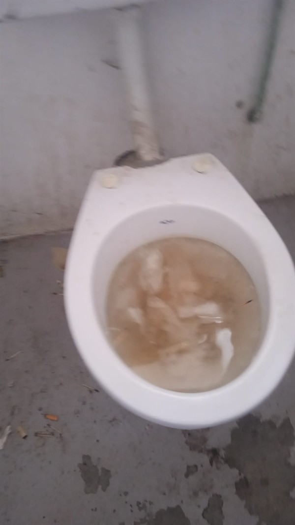 Slow flushing toilet with waste not going down