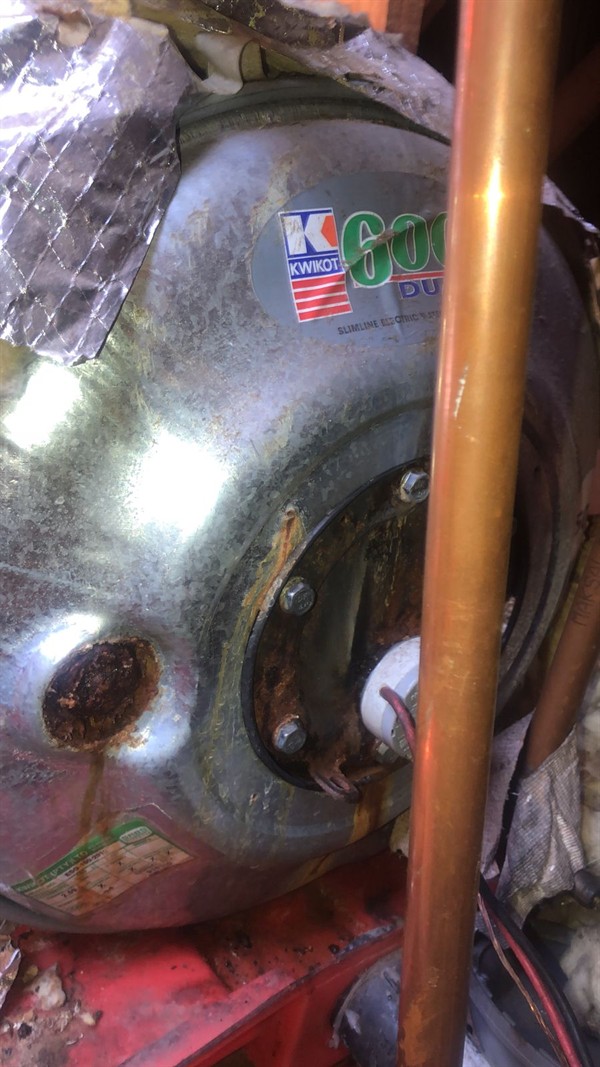 Rapid gushing from sudden burst geyser in Rietondale