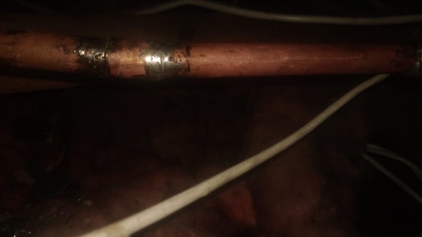 Burst pipe above ceiling causing water damage in Orange Grove