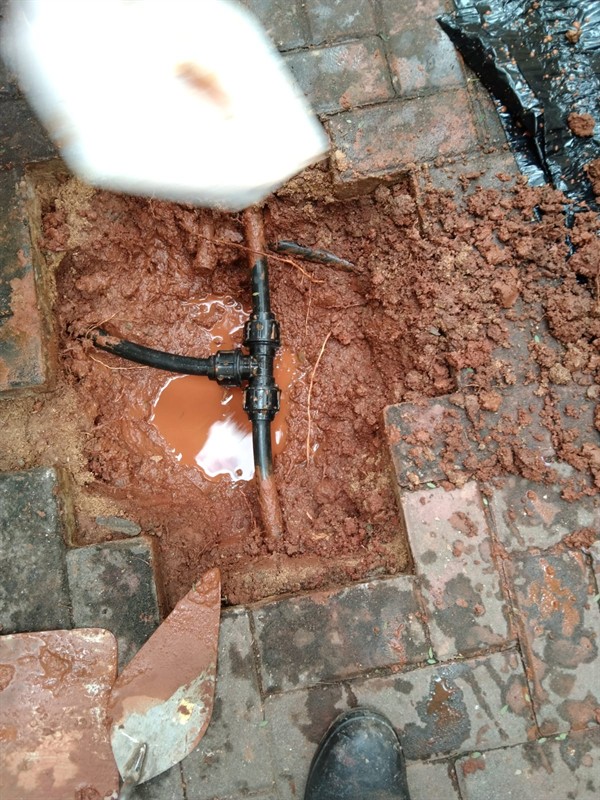 Soggy ground from burst underground pipe in Prolecon