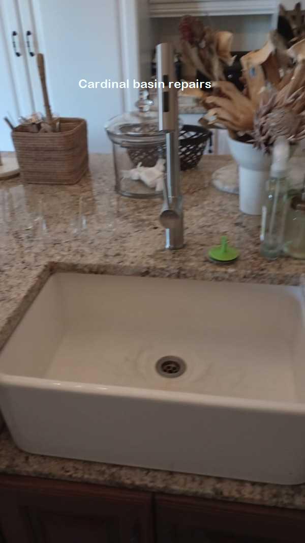 Cardinal basin repairs