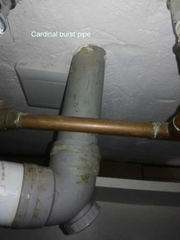 Cardinal burst pipe repair