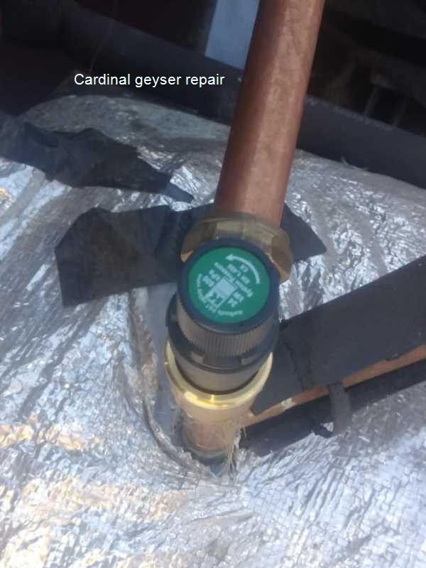 Cardinal geyser repair