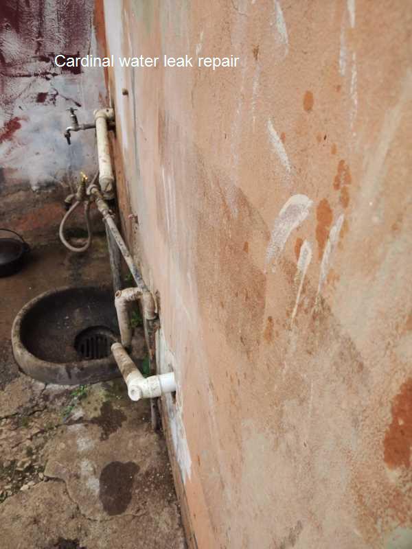 Cardinal water leak repair done by certified and qaulified plumbers with the right tools and experience.