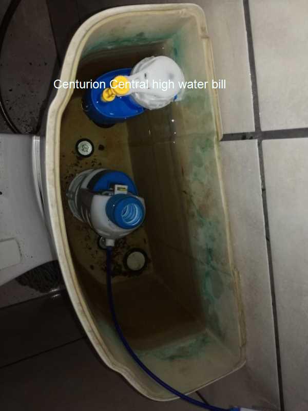 Save money and the planet by fixing your high water bill in Centurion Central