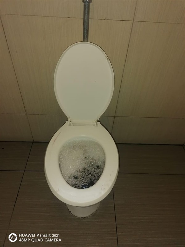 Blocked toilet during professional repair