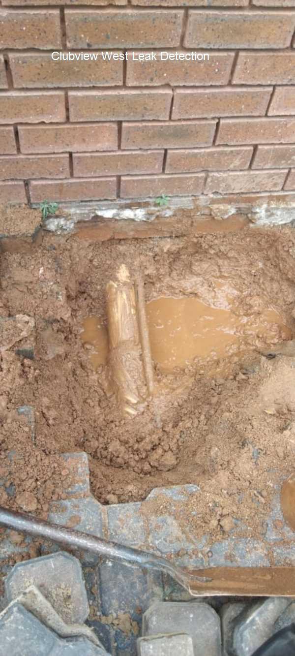 Clubview West Leak detection