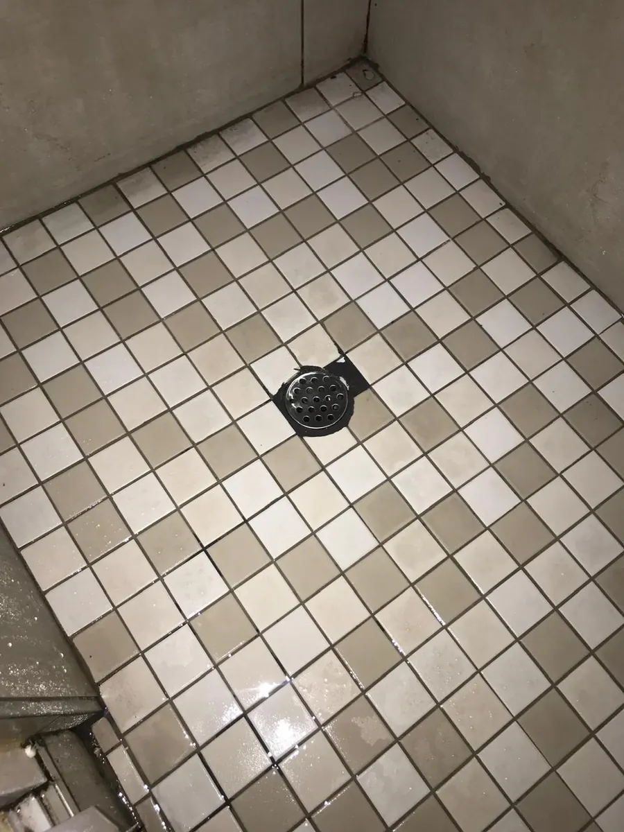 Shower floor drain showing common causes of a blocked shower