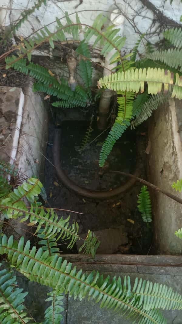 Clogged gulley with standing water and debris