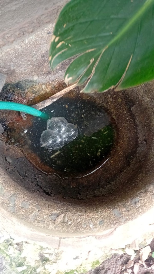 Gulley with no more slow drainage after repair