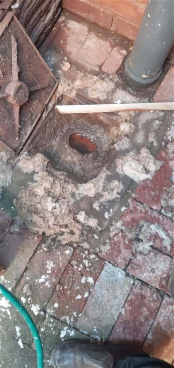 Plumber actively clearing a blocked drain pipe with tools visible