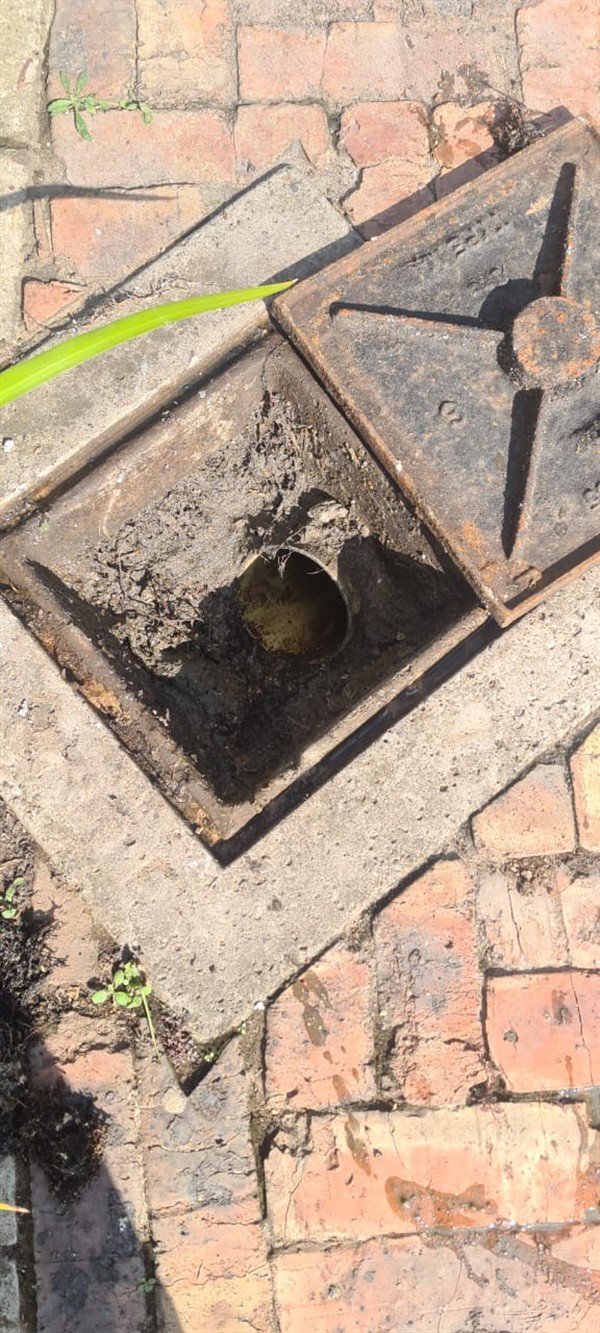 Persistent drain clog being addressed during cleaning