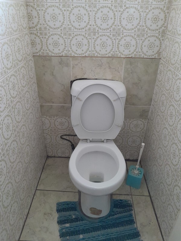Clearing blockage from toilet