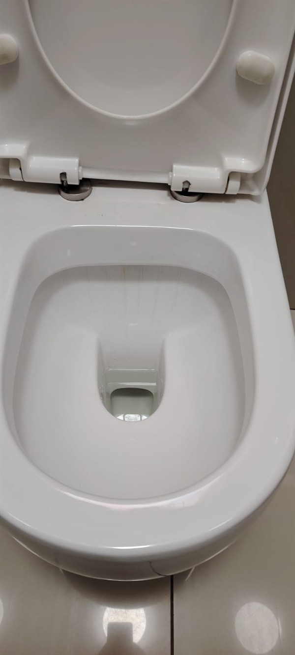 Toilet repair due to heavy blockage