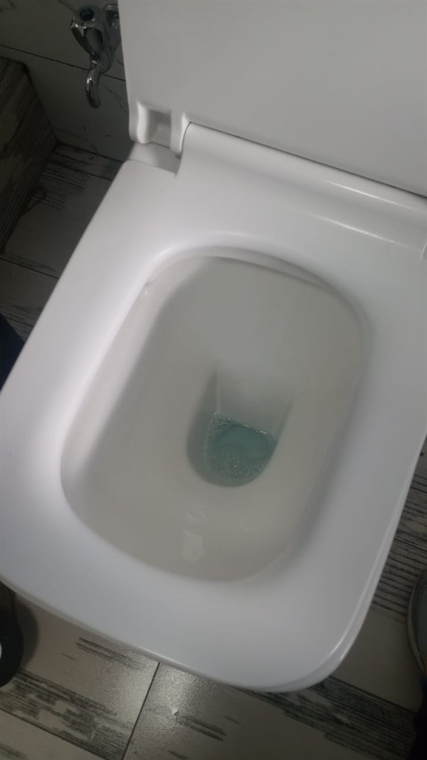 Thorough cleaning of blocked toilet