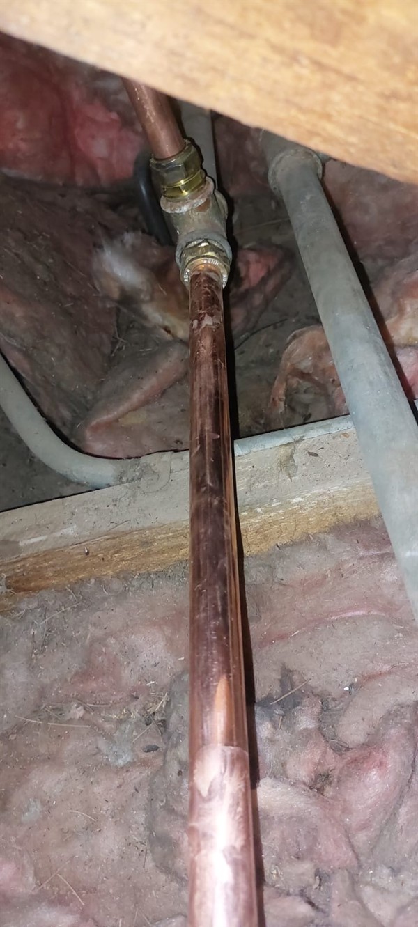 Dripping ceiling from burst pipe in Ormonde