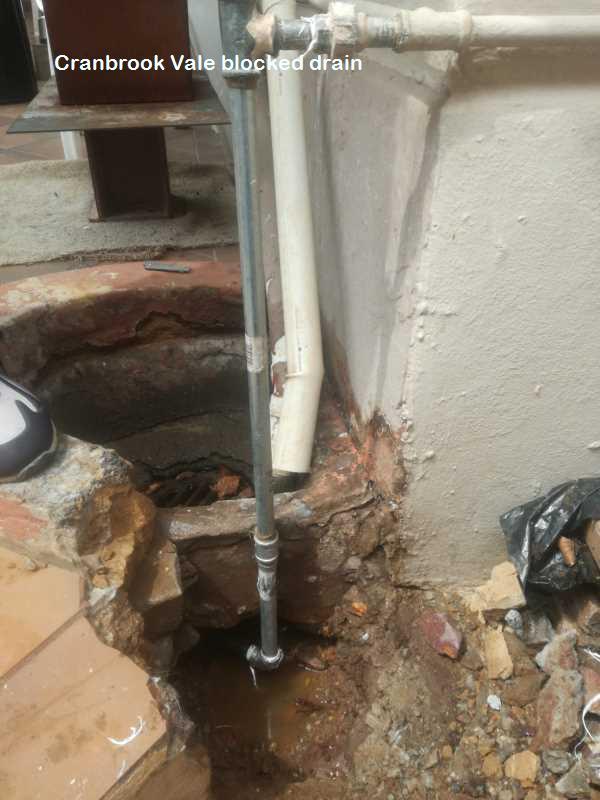Cranbrook Vale blocked drain cleaners