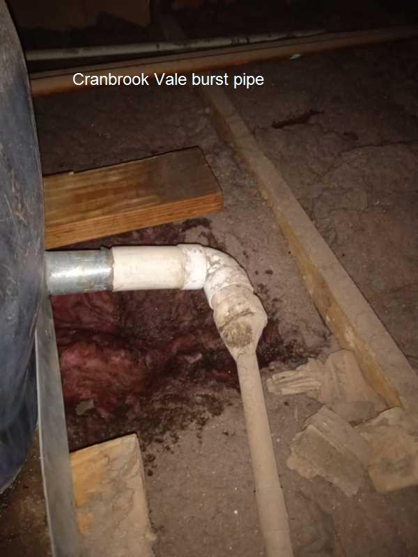 Cranbrook Vale burst pipe repair