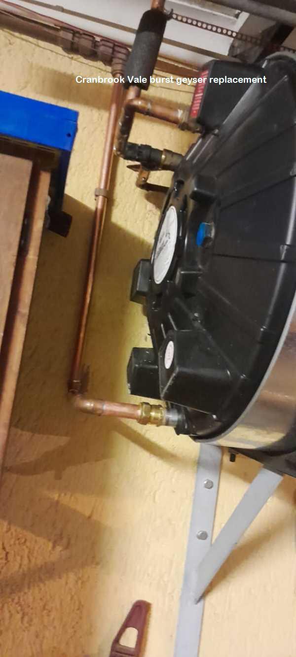 Cranbrook Vale burst geyser replacement done by qualified plumbers offering free call out fees and free quotes for all your geyser replacement needs including guarantees.
