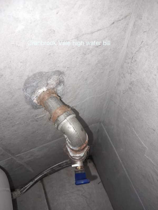 Stop overpaying on water bills in Cranbrook Vale