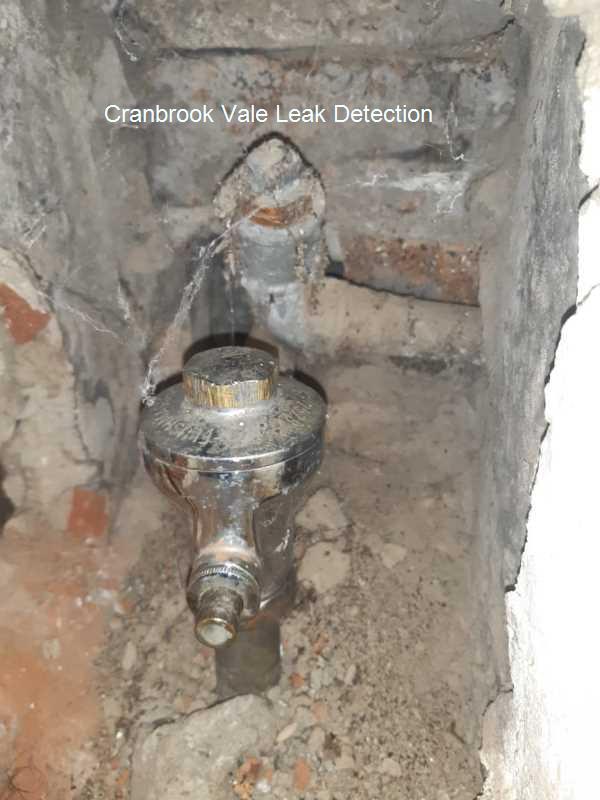 Cranbrook Vale Leak detection