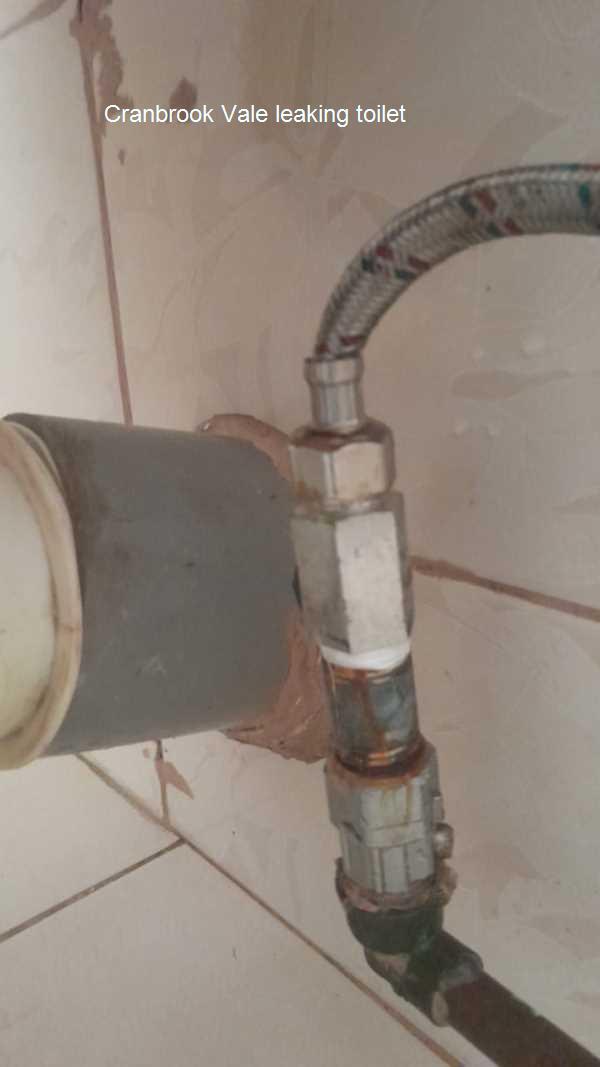 Leaking toilet in Cranbrook Vale. Toilet leaks can be frustrating. Our experienced professionals diagnose issues accurately and provide effective repairs to restore your bathrooms function. Trust us for prompt, reliable plumbing services today!