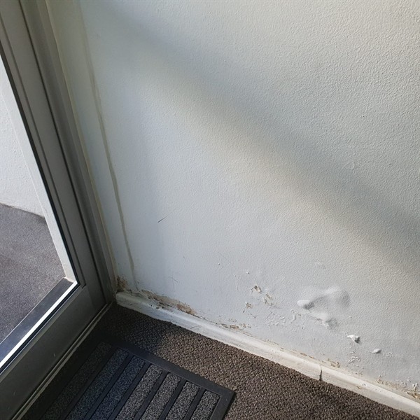 Concern about hidden damage from wall damp in Val de Grace