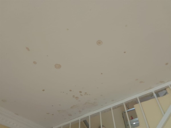 Wet spots from damp on wall in Rembrandtpark